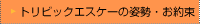 �g���r�b�N�G�X�P�[�̎p���E����
