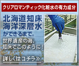 NA}eBbNϐ̗L͐ukCCm[wv