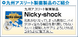 jz^Nicky-shockjbL[VbN̏ڍ׃y[W̓R`