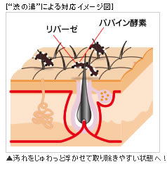 �a�̓��ɂ��Ή��C���[�W�}