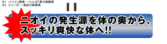 �j�I�C�̔�������̂̉�����A�X�b�L���u���ȑ̂�