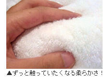 �����ƐG���Ă������Ȃ�_�炩��