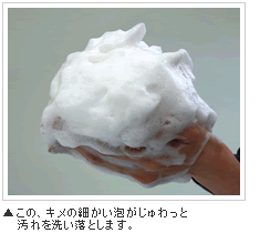 この、キメの細かい泡がじゅわっとヨゴレを洗い落とします。