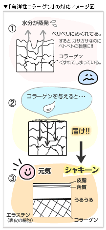 �u�C�m���R���[�Q���v�̑Ή��C���[�W�}