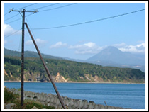 �k�C���m���A���P��