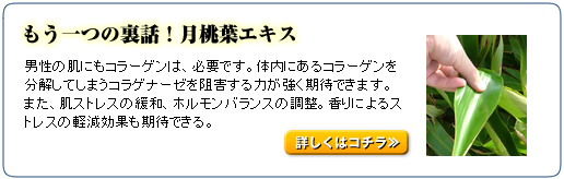 ������̗��b�I�����t�G�L�X