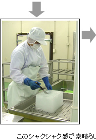 ���ꐻ�@�̗l�q