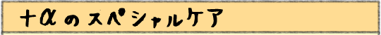 +αのスペシャルケア