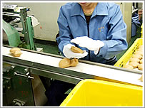 �`�F�b�N�̗l�q