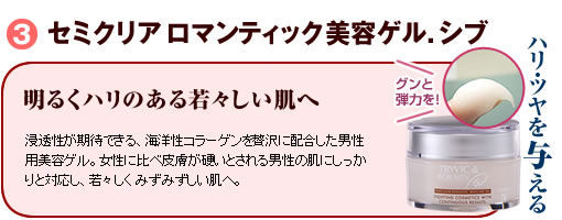 3.�Z�~�N���A ���}���e�B�b�N���e�Q���@�n���E�c����^����