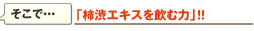 �u�`�a�G�L�X�����ޗ́v�I�I